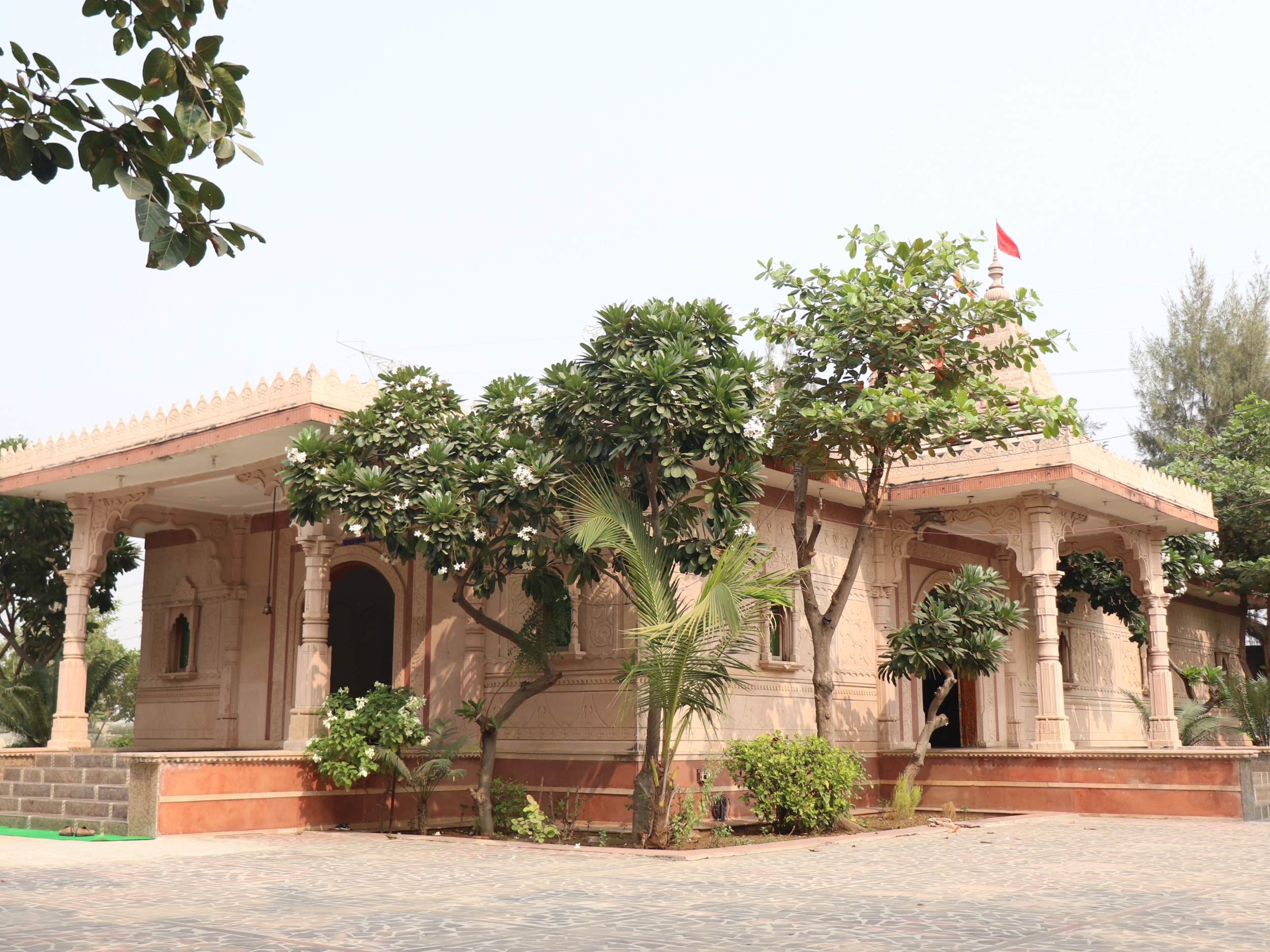 Best CBSE  schools